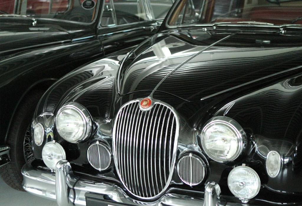 Amelia 1213 Jaguar